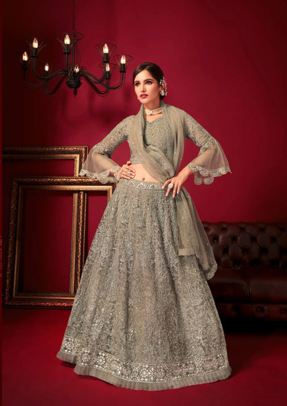 Designer Net with Silk Lehenga collection