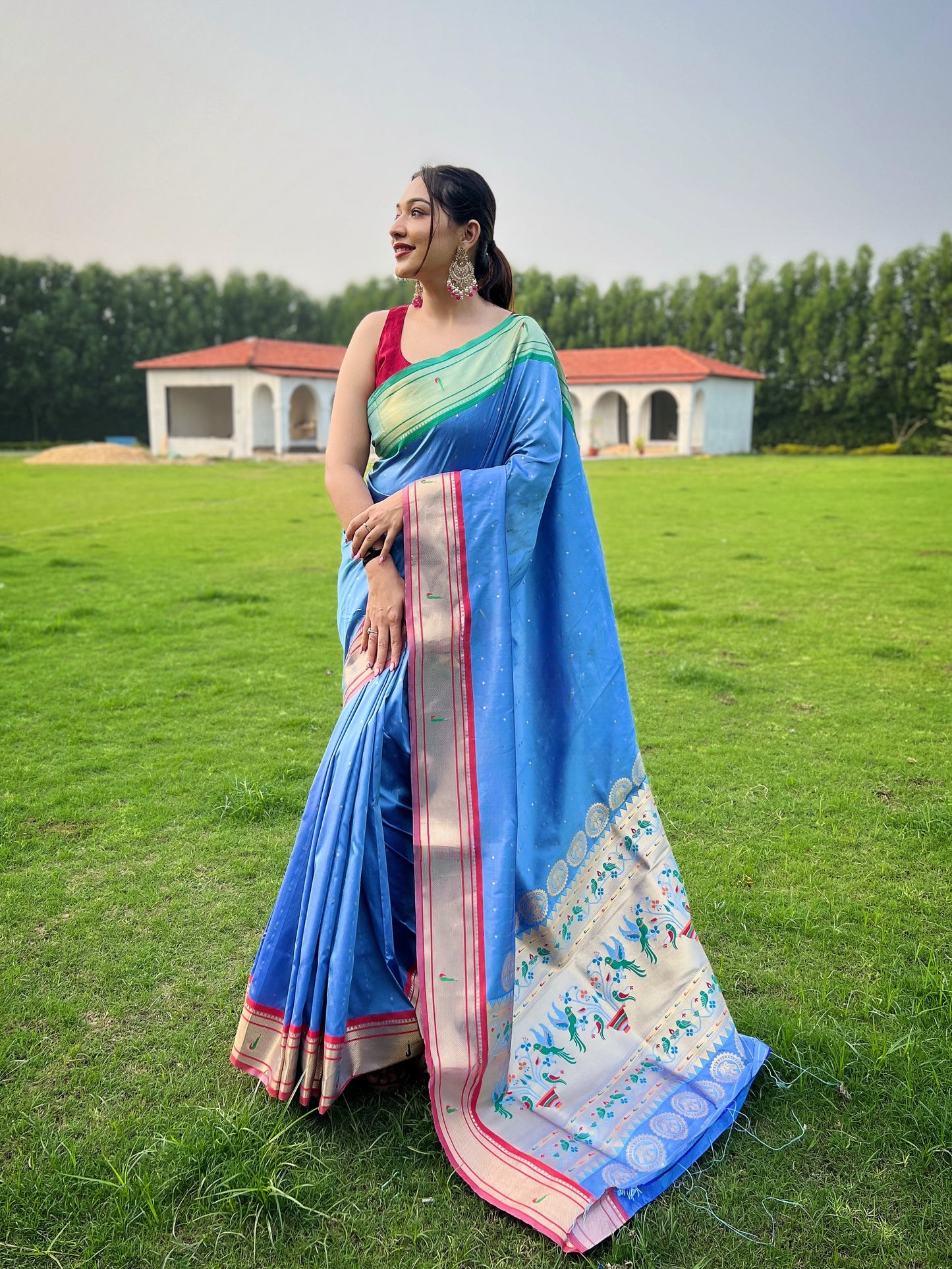 Elegant Silk Sarees for Parties