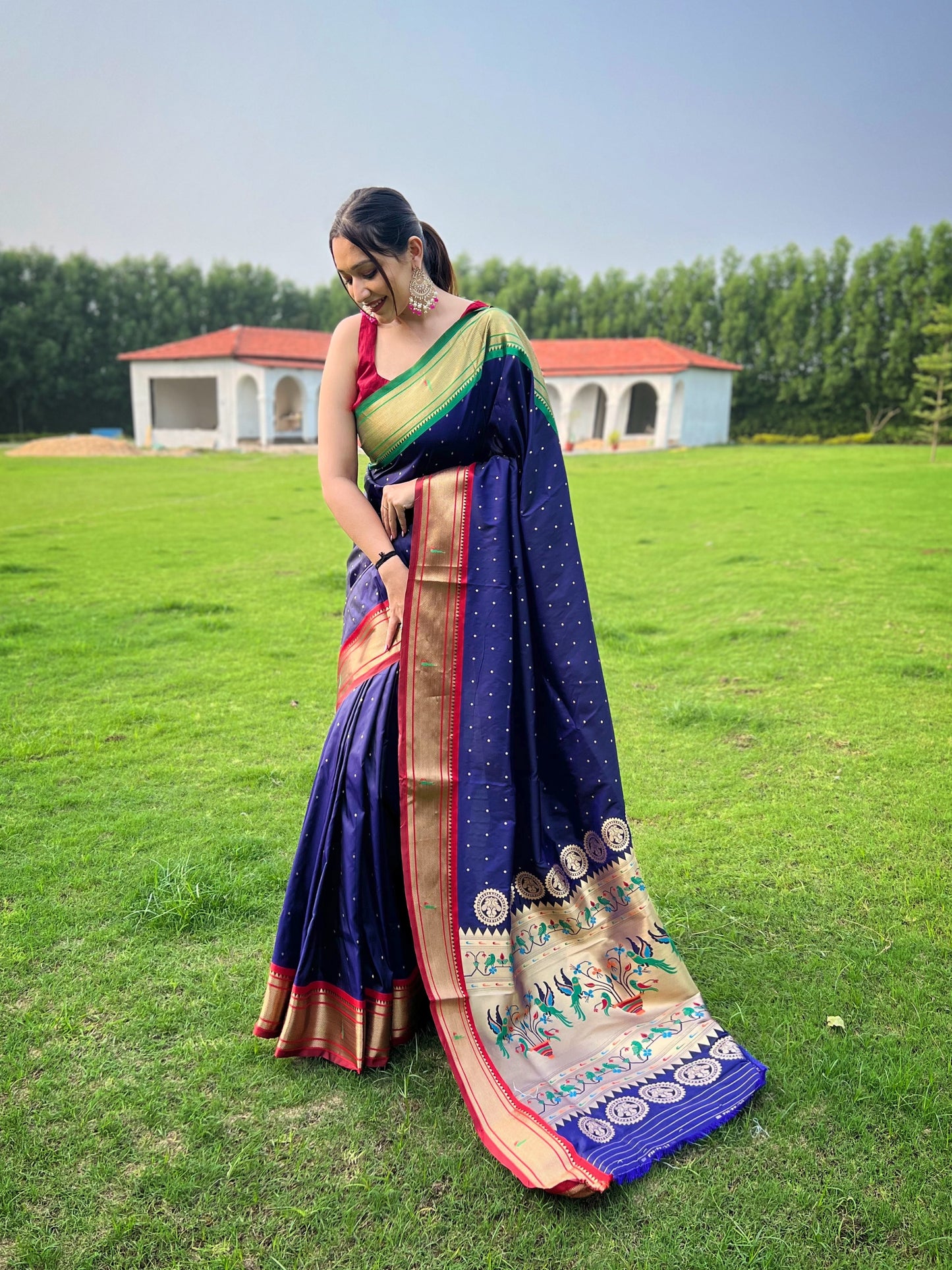 Elegant Silk Sarees for Parties