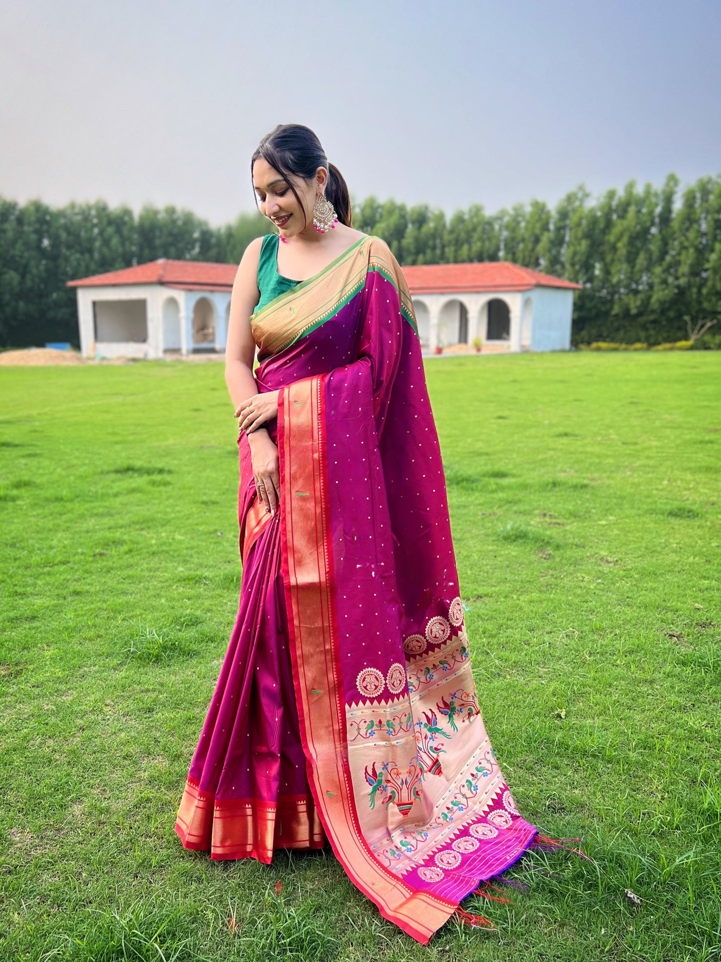 Elegant Silk Sarees for Parties