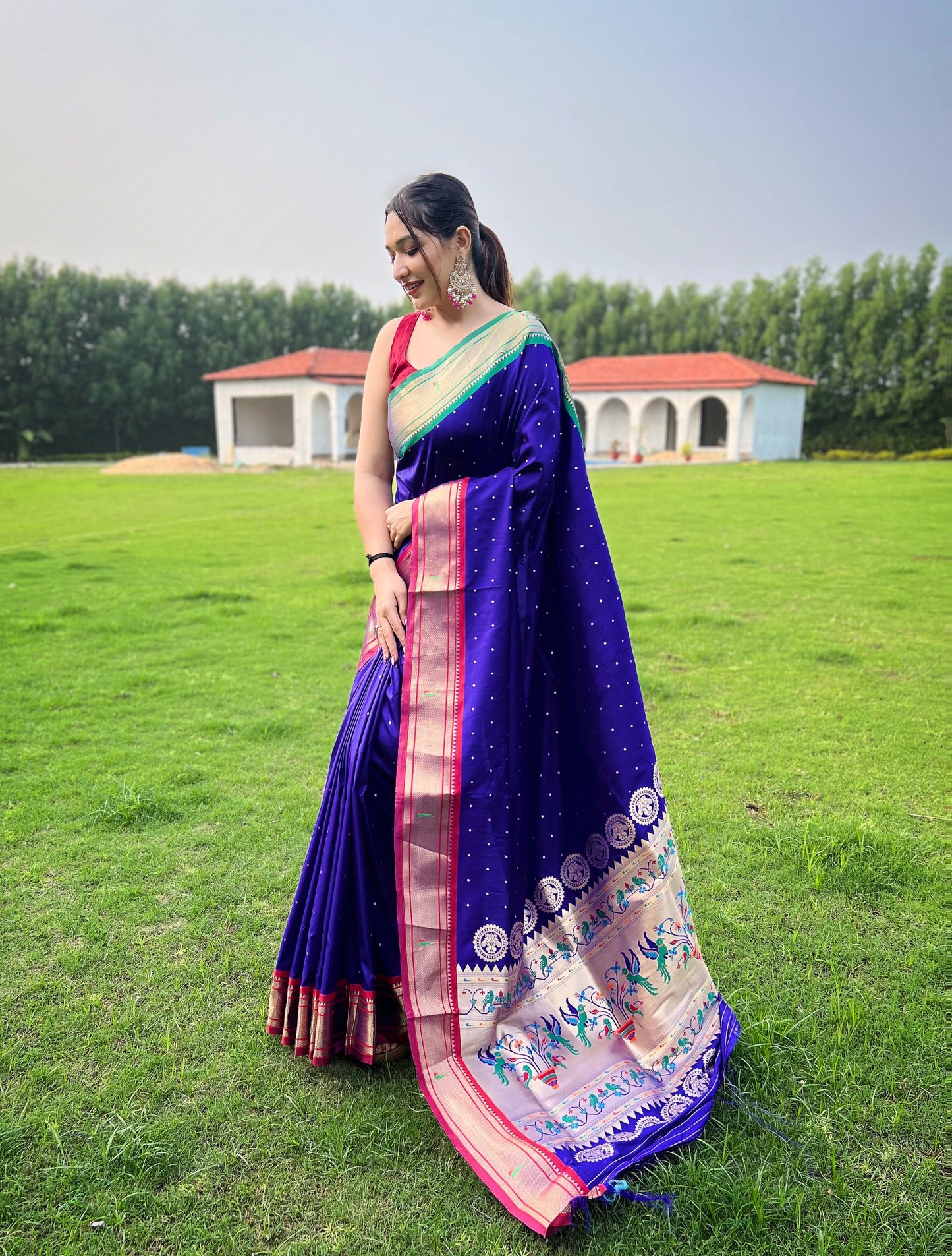 Elegant Silk Sarees for Parties