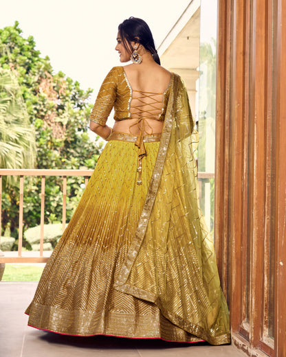 Luxe Threadwork Chinon Lehenga Choli